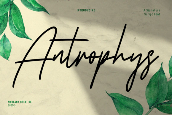 Antrophys Script Font for Handmade Branding & Printables