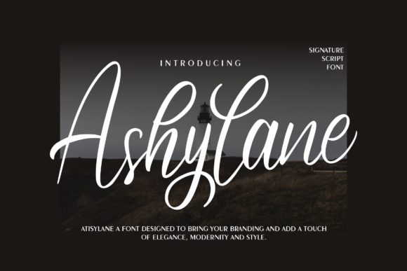 Ashylane Script: A Premium Script Handwritten Font for Digital Branding