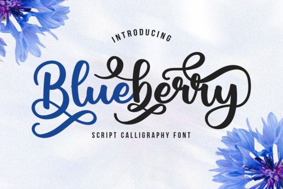 Blueberry Script Font for Elegant Branding