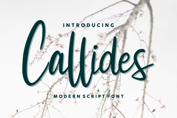 Callides Script: A Romantic Script Handwritten Font for Editorial Design