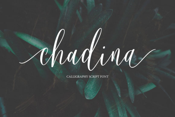 Chadina Script: A Romantic Script Font for Elegant Digital Branding
