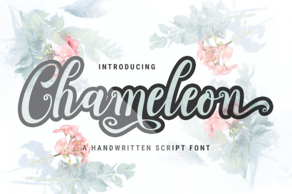 Chameleon Script Font for Luxury Branding