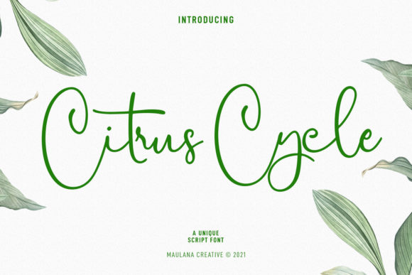 Citrus Cycle Script: Elegant Script Handwritten Font for Digital Campaigns