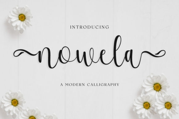 Nowela Script: A Light Handwritten Font with Luxury Impact