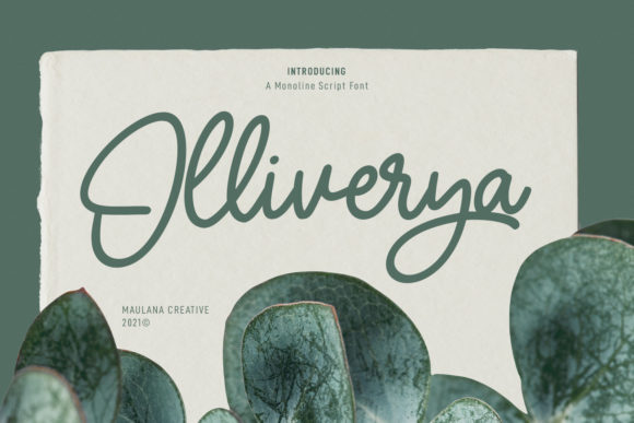 Olliverya Script: A Refined Script Handwritten Font for Real Branding