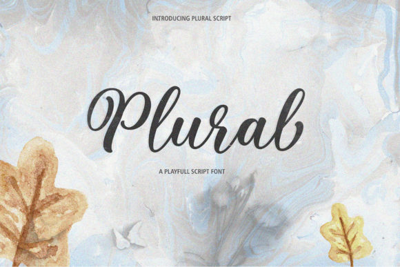 Plural Script Font for Elegant Brand Identity Work