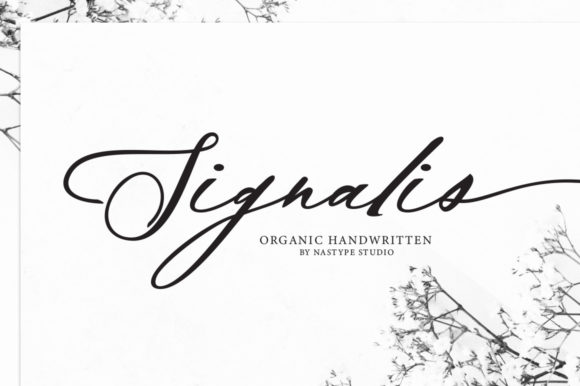 Signalis Script: A Modern Script Font for Elegant Branding